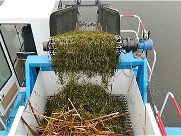 新型滸苔打撈船由青島轉戰沂河