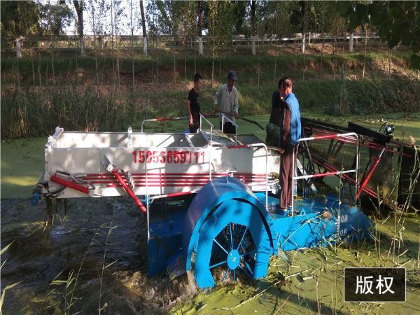 天津中型【全自動蘆葦浮萍打撈船】現場視頻