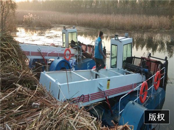 北京全自動割草船現場視頻